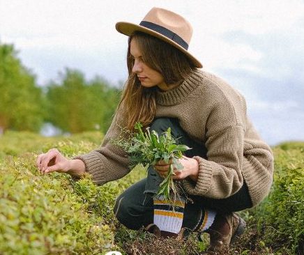 Benefits of Indoor Gardening for Your Health: the Natural Way to Grow Plants at Home