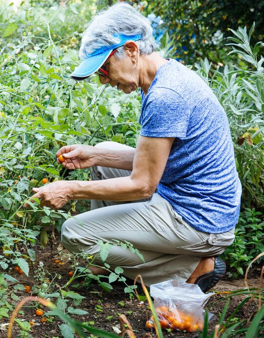 Emerging Garden Trends: A Glimpse into the Future of Gardening in 2023