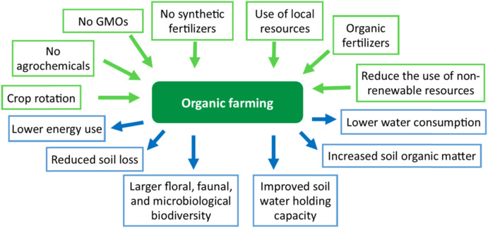 How Organic Gardening Contributes to a Cleaner Environment How Organic Gardening Contributes to a Cleaner Environment