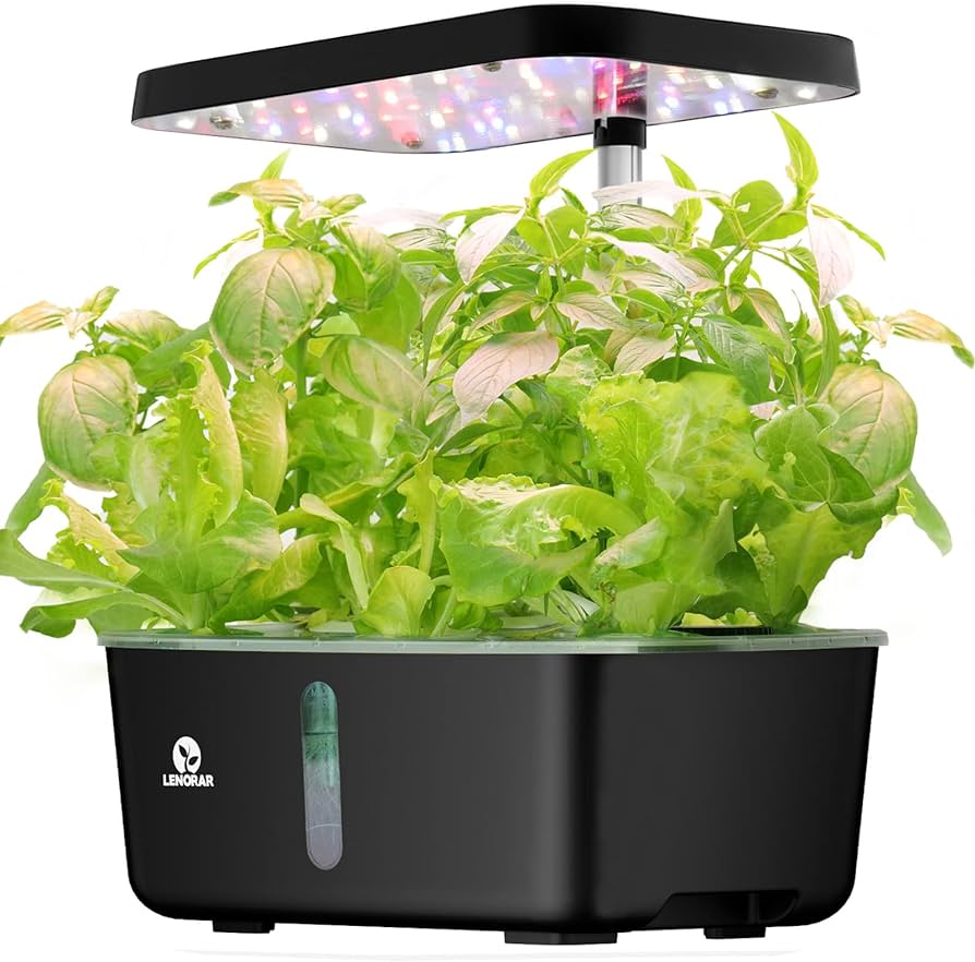 The Perfect Watering Schedule for Thriving Indoor Herb Gardens The Perfect Watering Schedule for Thriving Indoor Herb Gardens