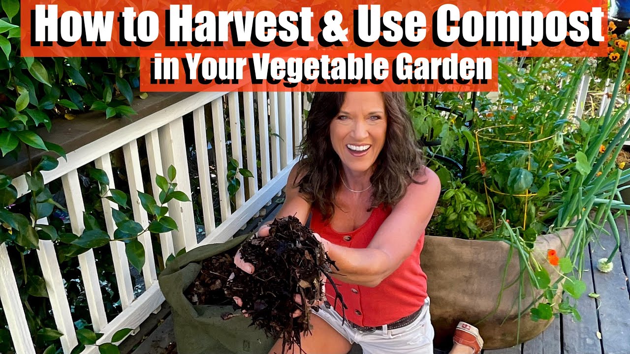 When and How to Incorporate Compost into Your Vegetable Garden for Optimal Growth When and How to Incorporate Compost into Your Vegetable Garden for Optimal Growth